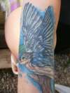 blue bird tattoo