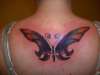 colored butterfly tattoo
