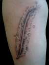 feather with water droplets tattoo