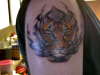 husbands tiger tattoo