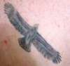 EAGLE tattoo