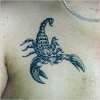 scorpion tattoo