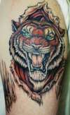 roar!!! tattoo