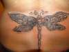 pretty dragonfly tattoo