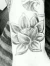 Black and grey lotus blossom tattoo