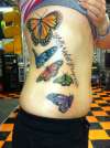 Butterfly Rib Tattoo