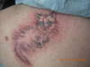 cat tattoo