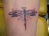 dragon fly tattoo