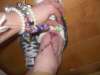 pink beetle tattoo