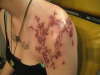 sakura branches tattoo