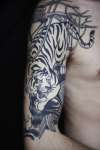 tiger monkey sleeve 1 tattoo