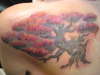 tree tattoo