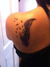 Birds/feather tattoo