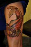 Koi carp tattoo