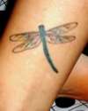 My Dragonfly tattoo