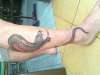 snake tattoo