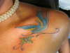 BLUEBIRD ON MY SHOULDER... tattoo