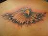 Eagle tattoo