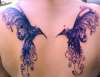Humming Birds tattoo