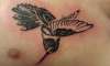 Hummingbird tattoo