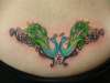 Peacocks tattoo