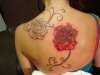 Roses tattoo