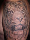 Tiger tattoo