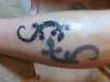 Yin and Yang Geckos tattoo
