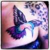 humminbird tattoo