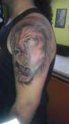 lion tattoo