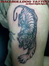 tiger tattoo