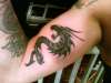 tribal dragon bicep tattoo