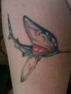 Blue Shark tattoo