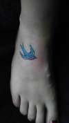 Bluebird on foot tattoo