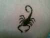 scorpion on left arsecheek! tattoo
