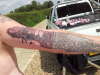 mcr arm tattoo