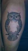 owl1 tattoo