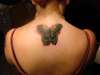 Butterfly. Cover up. tattoo