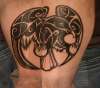 Celtic bird design tattoo