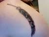 Free Feather tattoo