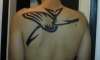 Humpback Whale Tribal tattoo