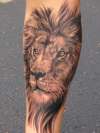 Lion of Judah tattoo