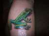 Red eyed Tree Frog tattoo