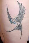Swallow with a touch of blue tattoo