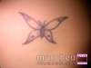 butterfly tattoo