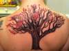 my Tree tattoo