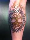 Celtic tree of life tattoo