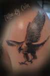 Hawk tattoo