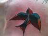 Traditional swallow on chest tattoo