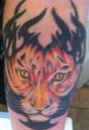 Tribal tiger tattoo